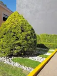 Hotel Hollywood Hotel dekat Templo Evangélico Pentecostés "Eben Ezer" MIEPI