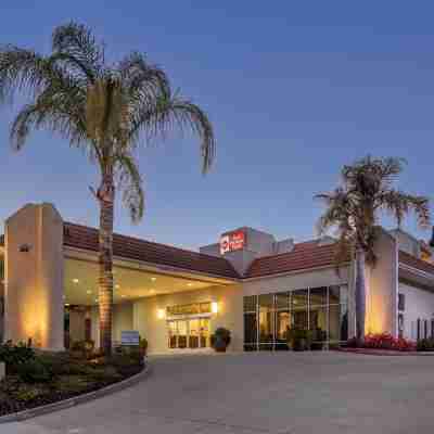 Best Western Plus Royal Oak Hotel Hotel Exterior