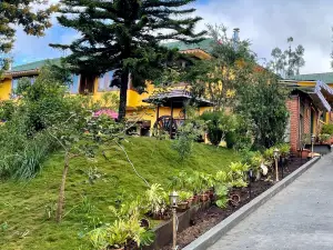 Habba Kadal Kashmiri Heritage Hotel & Hub