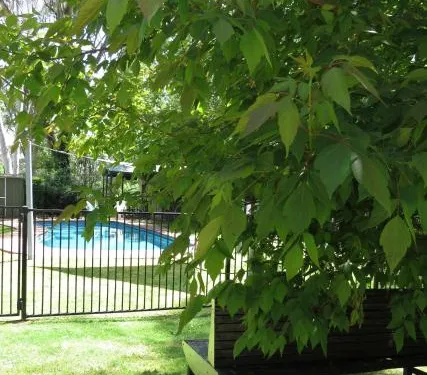 比奇沃斯假日公園