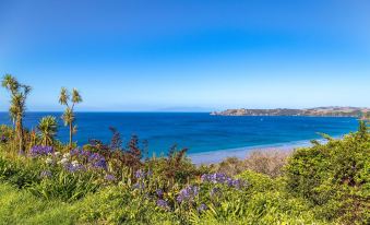 Cable Bay Views