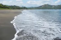 Tropical Gardens - Ocean View