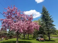 Willard Munger Inn