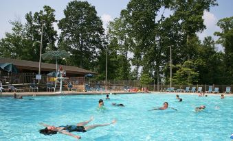 a group of people swimming and floating in a large outdoor pool , surrounded by trees and buildings at Cumberland Falls State Resort Park