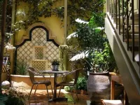 Chalet del Carmen, Coyoacán - Wifi
