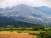 Alana Family 2 Bedroom Syariah Hotels in South Tarogong
