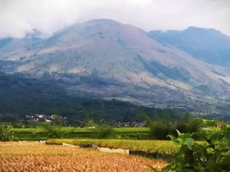 Alana Family 2 Bedroom Syariah Отели в г. South Tarogong