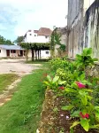 Posada El Perico Marinero Hoteles en Río Lagartos