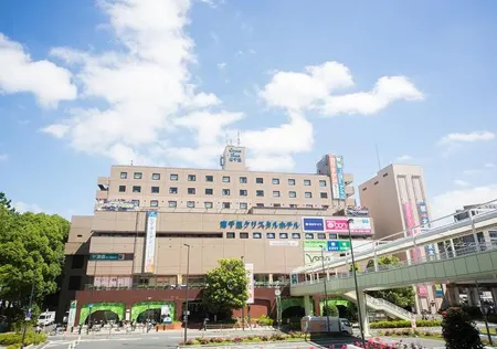 Minamisenri Crystal Hotel