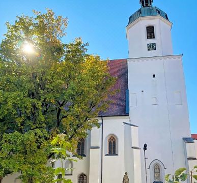 2. 악젠트 콩그래스..