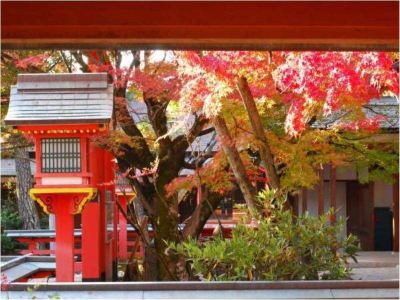 その他 サンメンバーズ京都嵯峨の写真