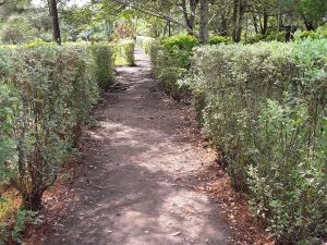 姆巴拉野生動物園和度假村