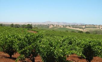 Barossa Country Cottages