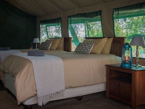 Nkwe Safari Lodge