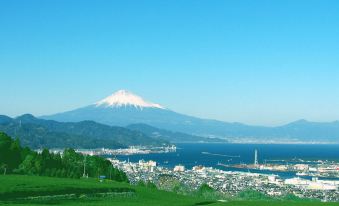 Shizutetsu Hotel Prezio Shizuoka Ekinan