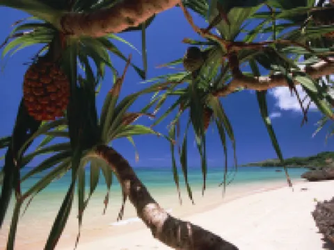 海乃宿Urumanchu酒店