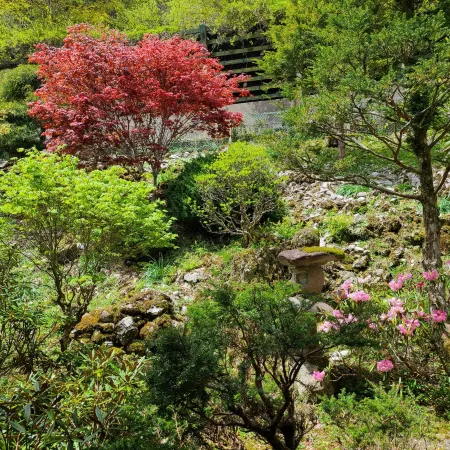 Dorogawa Onsen Ichimaru Ryokan