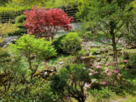 Dorogawa Onsen Ichimaru Ryokan Hotels in 
