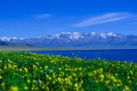 쿠얼러 롱후이 이 호텔 (샹리 애비뉴 푸드 스트리트 지점) 쿠얼러 호텔