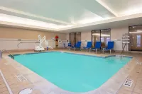 Sonesta Select Detroit Novi - Pools