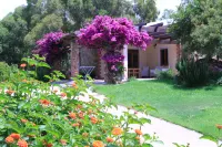 Quiet and Relaxing, Surrounded by Greenery a Few Kilometers from the Sea Hotels in der Nähe von Strand von Tuerredda