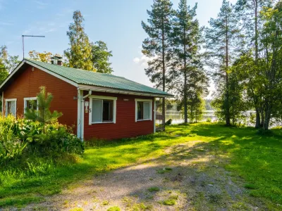 Saniainen 5
