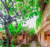 Akila Hotel Lombok Hotels in Cilinaya