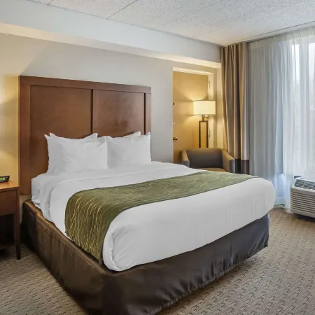 Comfort Inn Shady Grove - Gaithersburg - Rockville