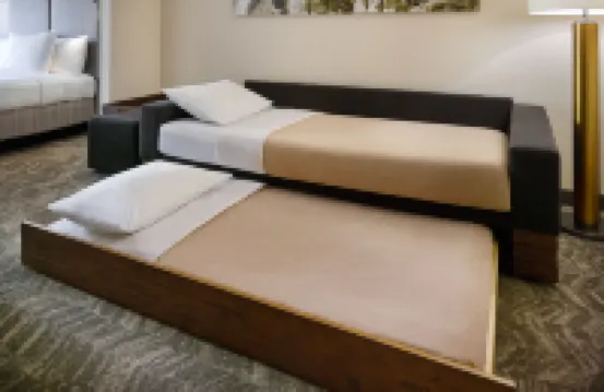 SpringHill Suites Charlotte University Research Park Hotels in University Place