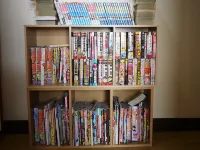 Wakamatsu Ryokan Hotels in Kamisu