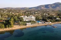 Brown Beach Eretria Hotels in Taminei
