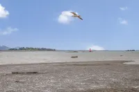 Buan Gyeokpo Some Hotel