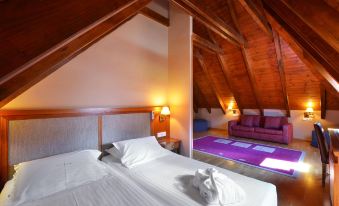 Hotel Spa Acevi Val D’Aran