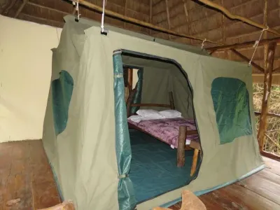 Jungle lodge Kibale Hotels in Kamwenge