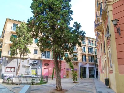 Surroundings Lorem Ipsum Photo