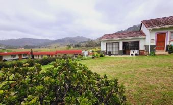 African Violet Lodge