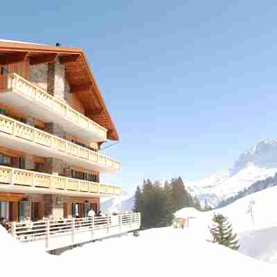 Mountain Lodge, Les Crosets Hotel Exterior