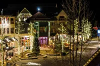 Wild Irishman 1041A Hotels in Dillon