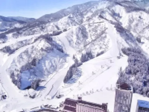 Echigoyuzawaonsen Gardentower Hotel