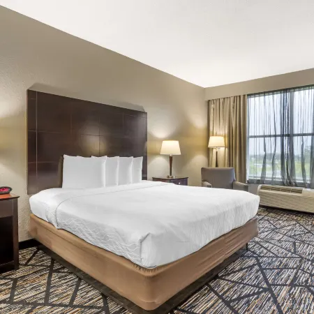 Best Western Plus Hobby Airport Inn  Suites