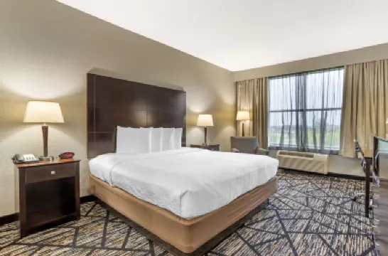 Best Western Plus Hobby Airport Inn  Suites Hotels near William P. Hobby Airport