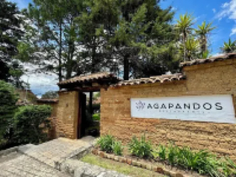 Uvence Arte + Hotel Hotels in 