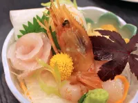 East Harbor Hotel Hotels in Nemuro