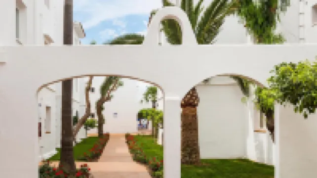 Globales Bouganvilla