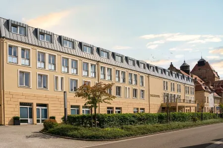 Parkhotel Landau Отели в г. Бирквайлер