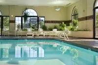 Embassy Suites by Hilton Kansas City International Airport - Pools