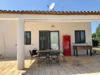 Perfect Oasis Among Olive Trees and Private Pool, for an Authentic Experience!