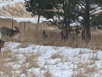 Great Quiet Location! Close to all the Attractions.