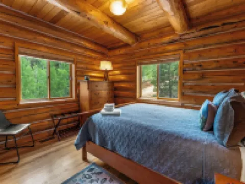 Bailey Bear Haus - Colorado Mountain Log Cabin Getaway. Pet friendly! Hotels in Bailey