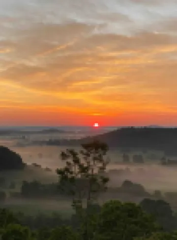 Scenic views, Fire Pit, CozyClose to the Buffalo National RiverPet friendly